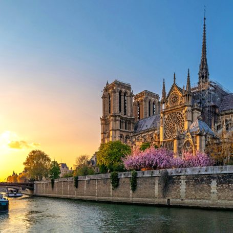 La cathédrale Notre-Dame au crépuscule, entourée de cerisiers en fleurs et du fleuve Seine.
